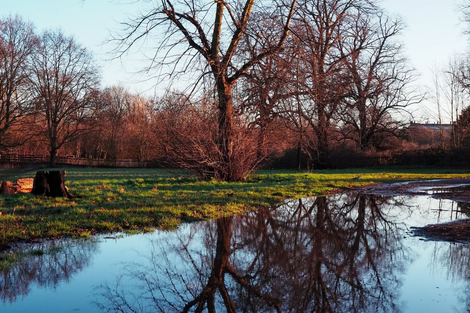 1 Day Bhopal Sightseeing Trip by Car