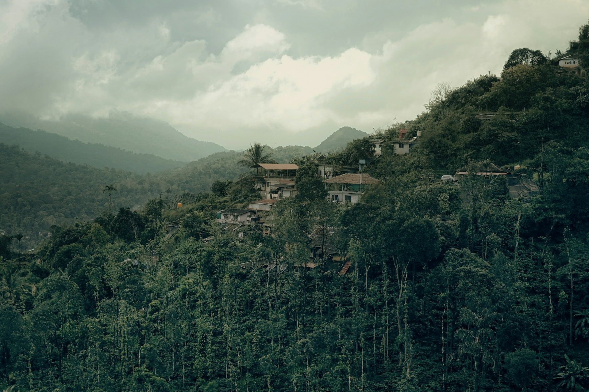 One Day Coorg Sightseeing Trip with Talacauvery