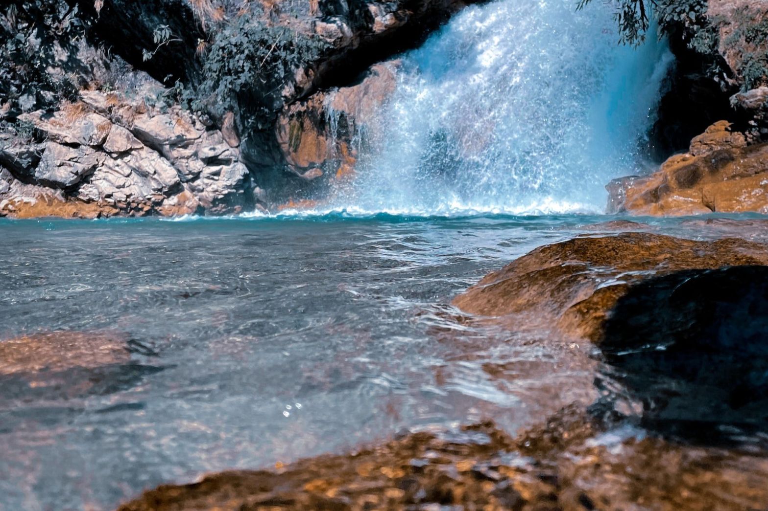 1 Day Dehradun Local Sightseeing Trip by Car