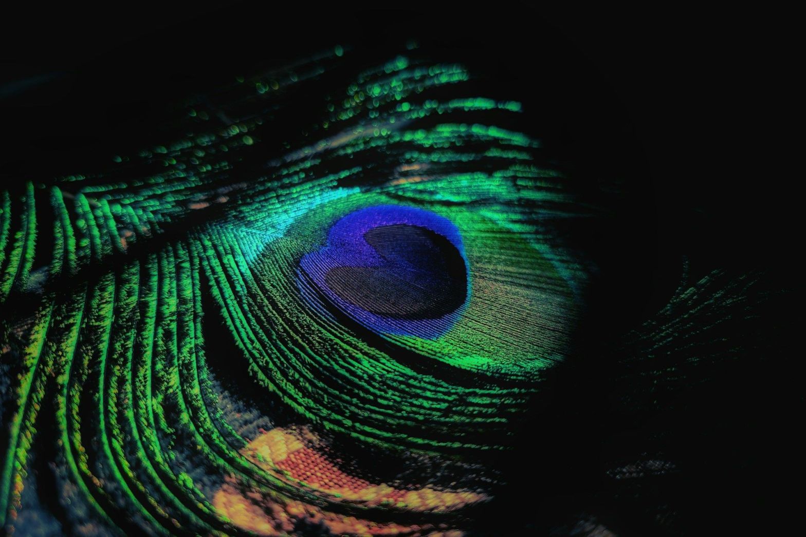 One Day Dwarka Tour by Cab