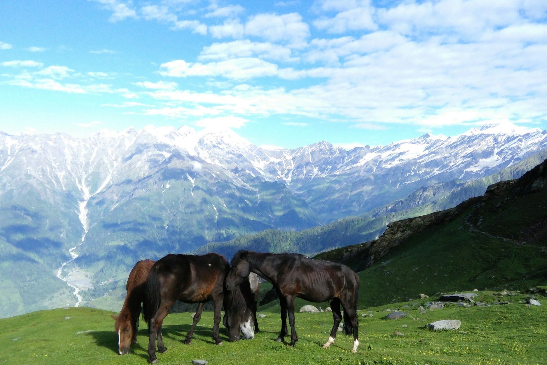 One Day Manali Sightseeing Trip by Cab