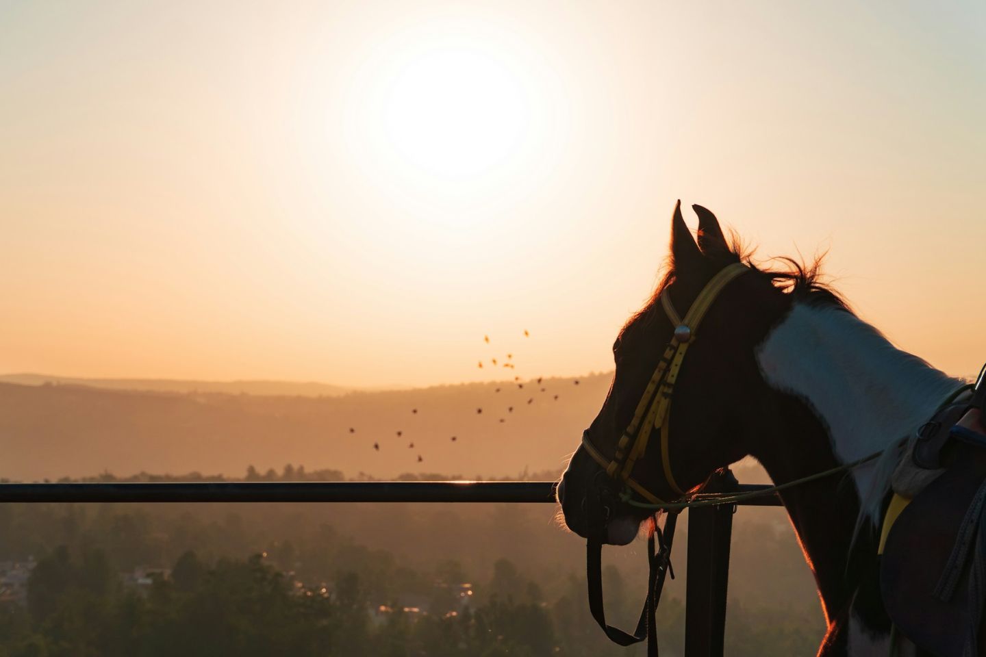 One Day Mumbai to Panchgani Trip by Cab